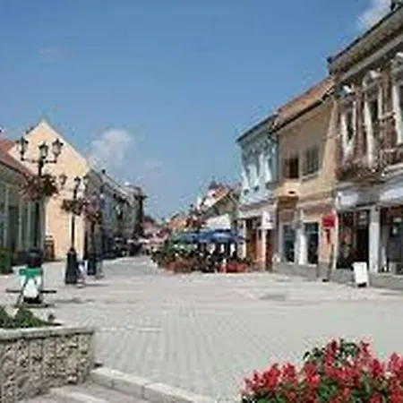 Vendégház Betty Panzio Csíkszereda